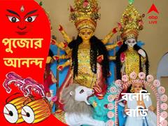 Durga Puja 2022 বড়িশার সাবর্ণ রায়চৌধুরী পরিবারের পুজোর গল্প মুগ্ধ হয়ে শোনার মতো