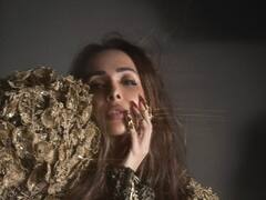 PHOTO: मलायका अरोराचा सिझलिंग अवतार, वयाच्या 48 व्या वर्षी दिल्या हॉट पोज!