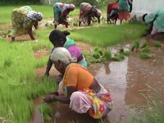 தருமபுரிக்கு 58-வது பிறந்த நாள்: நீர்பாசன திட்டங்களை உருவாக்க வேண்டும் என கோரிக்கை வைத்த மக்கள்..