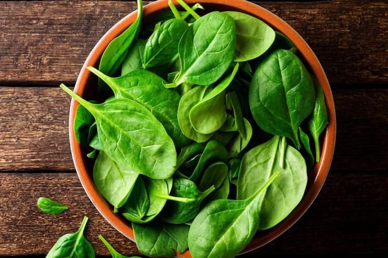 spinach or fenugreek which is more beneficial for health tips Health Tips: પાલક કે મેથી બંનેમાંથી આપના શરીર માટે શું શ્રેષ્ઠ છે? જાણો સ્વાસ્થ્યલક્ષી ફાયદા