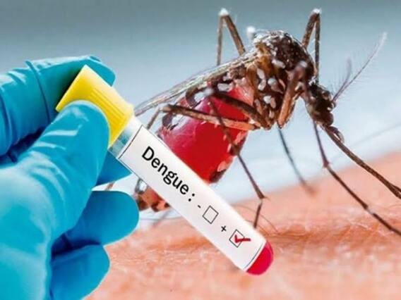 Dengue: बिना लक्षण मिल रहे ये संकेत तो संभल जाइए, कहीं आप डेंगू की चपेट में तो नहीं Dengue: बिना लक्षण मिल रहे ये संकेत तो संभल जाइए, कहीं आप डेंगू की चपेट में तो नहीं