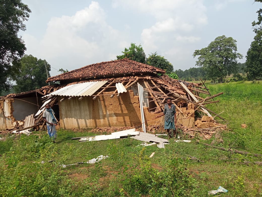 Chhattisgarh News: हाथियों के आतंक से थर्राया सूरजपुर और सरगुजा, जमकर मचा रहे उत्पात, बस्ती छोड़ भाग रहे लोग