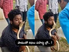 Viral Video: పాముకు ముద్దు పెట్టబోయిన స్నేక్ క్యాచర్, తరువాత ఏం జరిగిందో తెలిస్తే షాక్ !