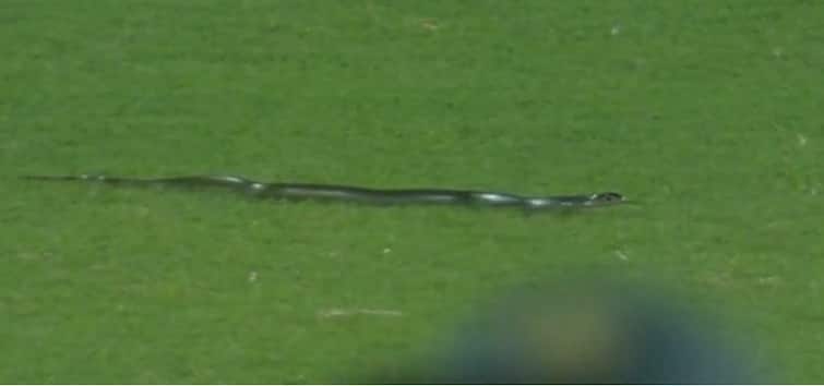 IND vs SA T20 2nd match stopped after a snake entered the field during the match, watch Video IND vs SA T20: ચાલુ મેચ દરમિયાન મેદાનમાં સાપ આવી જતાં મેચ રોકવી પડી, જુઓ Video