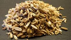 Fennel Seeds: মৌরি দেওয়া চা কি আদৌ স্বাস্থ্যের জন্য উপকারী?