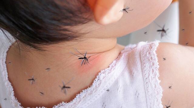 ਆਮ ਤੌਰ 'ਤੇ ਡੇਂਗੂ ਬੁਖਾਰ ਹੋਣ 'ਤੇ ਮਰੀਜ਼ ਵਿਚ ਕੁਝ ਹੀ ਦਿਨਾਂ ਵਿਚ ਲੱਛਣ ਦਿਖਾਈ ਦੇਣ ਲੱਗ ਪੈਂਦੇ ਹਨ ਪਰ ਅਕਸਰ ਡੇਂਗੂ ਦੀ ਲਾਗ ਬਿਨਾਂ ਲੱਛਣਾਂ ਦੇ ਮਰੀਜ਼ ਨੂੰ ਆਪਣਾ ਸ਼ਿਕਾਰ ਬਣਾ ਸਕਦੀ ਹੈ।