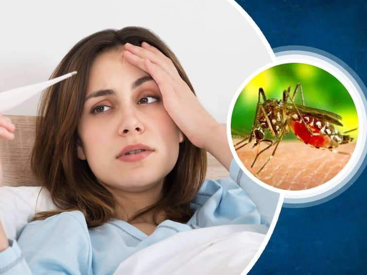 West Bengal Dengue Situation doctors blame climate and rapid urbanisation Dengue Situation: আবহাওয়ার খামখেয়ালিপনার দোসর অপরিকল্পিত নগরায়ন, ডেঙ্গির উপসর্গ দেখলেই সতর্ক হোন, পরামর্শ চিকিৎসকদের