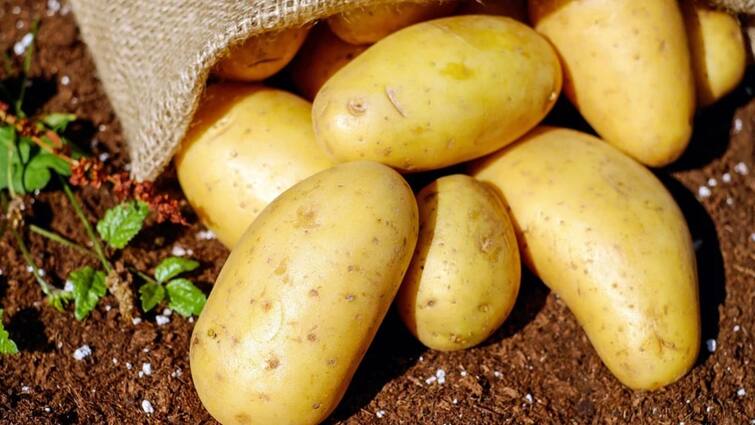 Eating potato and sabudana healthy or harmful? know in details Health Tips: উপবাসের সময় কি আলু খাওয়া কি স্বাস্থ্যকর?