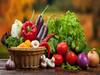 October Crops: सर्दी के अंत तक किसानों की खूब कमाई करवाती हैं ये सब्जियां, कम मेहनत में ही मिल जाती है बंपर पैदावार