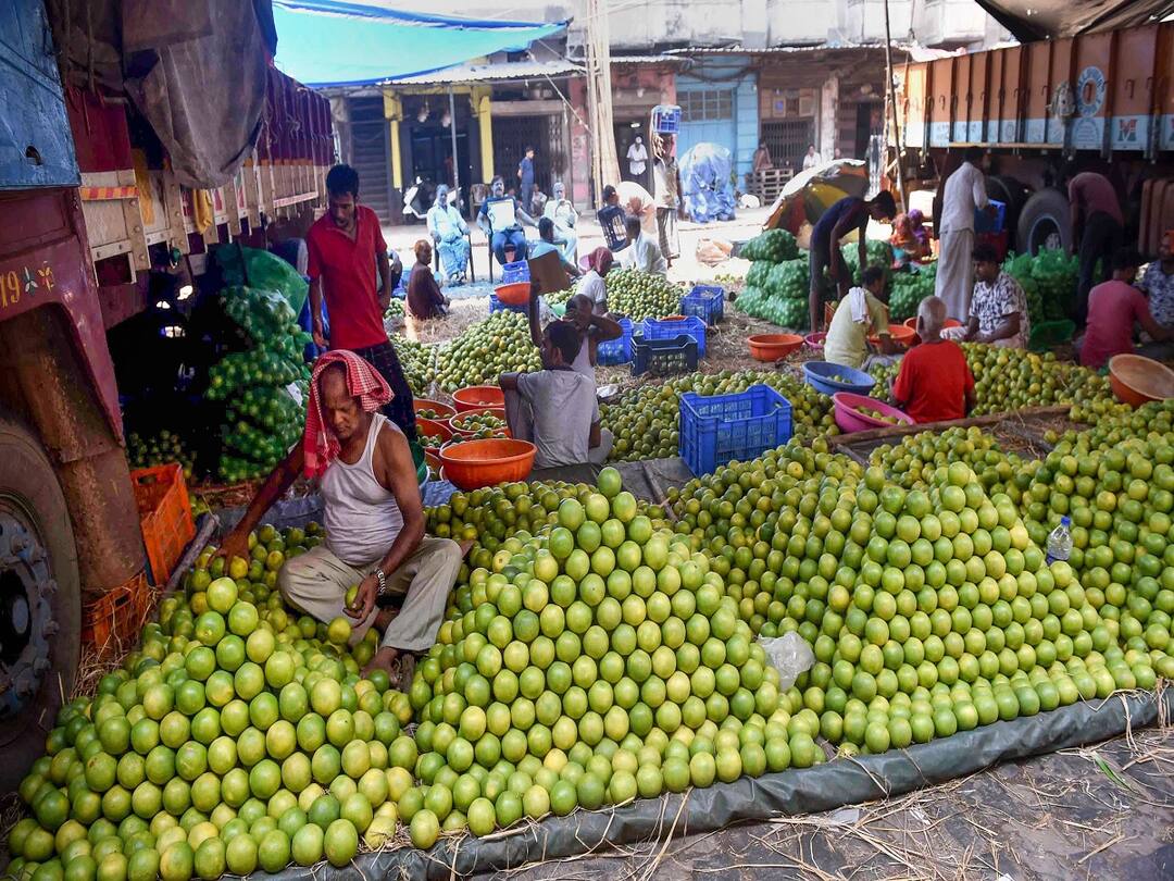 Lemon Farming: કમાણીનો નવો રેકોર્ડ બનાવી શકે છે ખેડૂતો, ગોધરા સ્થિત ICAR-CIAH વેજલપુરના વૈજ્ઞાનિકોએ વિકસાવી 60 કિલો પ્રોડક્શન આપતી લીંબુની નવી જાત Lemon Farming thar vaibhav variety of acid lime develop by Godhra ICAR CIAH scientist to produce 60 kg lemon Lemon Farming: કમાણીનો નવો રેકોર્ડ બનાવી શકે છે ખેડૂતો, ગોધરા સ્થિત ICAR-CIAH વેજલપુરના વૈજ્ઞાનિકોએ વિકસાવી 60 કિલો પ્રોડક્શન આપતી લીંબુની નવી જાત