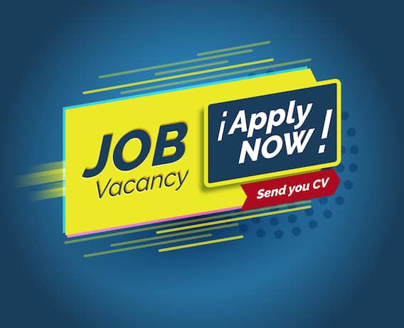 Government Job: सरकारी नौकरी की इच्छा रखने वाले कैंडिडेट्स के लिए इन संस्थानों में निकली बंपर भर्तियां, जानें सभी डिटेल्स