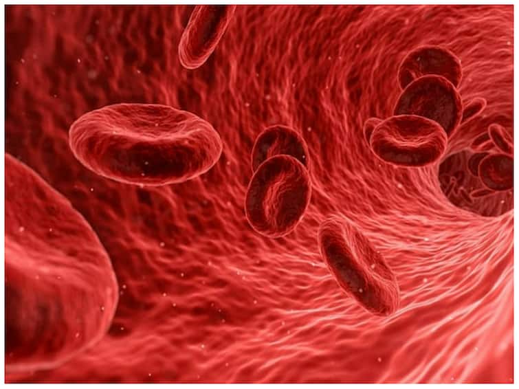 what should eat in daily diet to increase red blood cells count naturally डेली डायट में ये चीजें खाने से जल्दी बनेंगी रेड ब्लड सेल्स... दूर रहेगी एनीमिया की दिक्कत