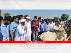 PHOTO: एकट्या आमदाराने स्वखर्चाने संपूर्ण तालुक्यातील 'लम्पी लसीकरण' केलं