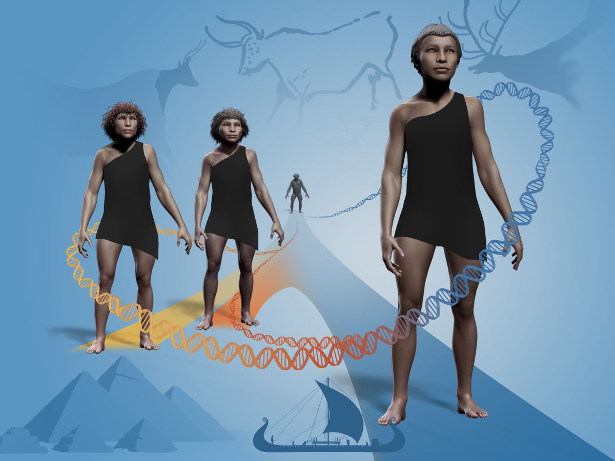 Approximately one to four per cent of the genome of modern-day humans with European or Asian descent has originated from the Neanderthals.  Photo: Twitter/@NobelPrize