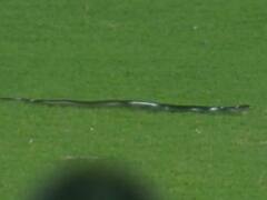 IND vs SA: कभी मैदान में सांप तो कभी फ्लड लाइट्स बंद, देखें गुवाहाटी T20I की कुछ चुनिंदा तस्वीरें