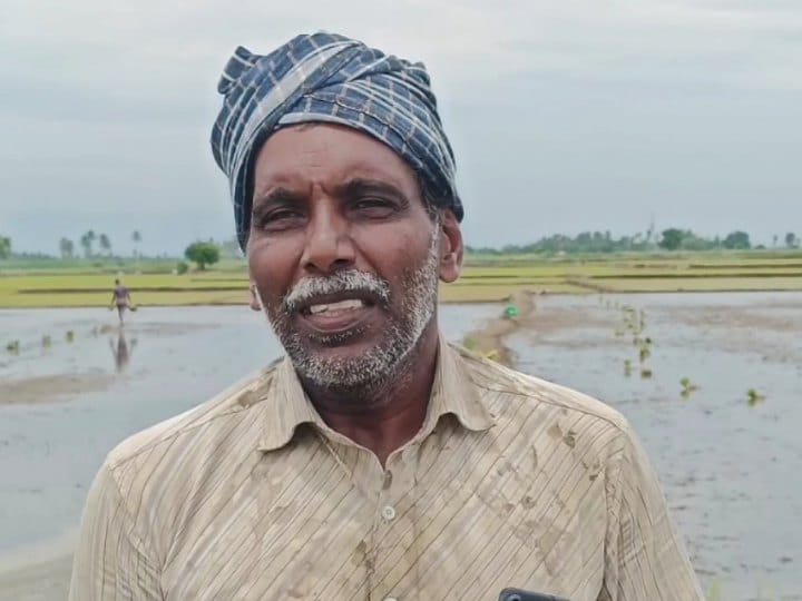 விவசாயப் பணிகளுக்கு ஆள் பற்றாக்குறை - நெல் நடவு பணியில் வட மாநில ஆண்கள்