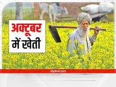 October Crops: अक्टूबर में करेंगे बुवाई तो होगी बंपर कमाई, इन फसलों की खेती के लिये अच्छा है समय