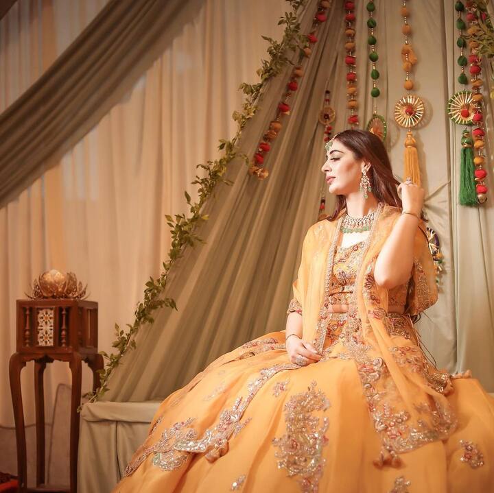 आमिरने डॉ. महरीन काजी (Dr. Mehreen Qazi) यांच्याशी विवाह केला आहे.