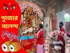 Durga Puja: সিংহের মুখ এখানে ঘোড়ার আদলে, কৃষ্ণনগর রাজবাড়ির পুজো দেখলে অবাক হতে হয়