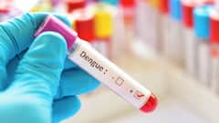 ছ’বছরের সব রেকর্ড পার, ডেঙ্গি সংক্রমণ ঘিরে বাড়ছে উদ্বেগ