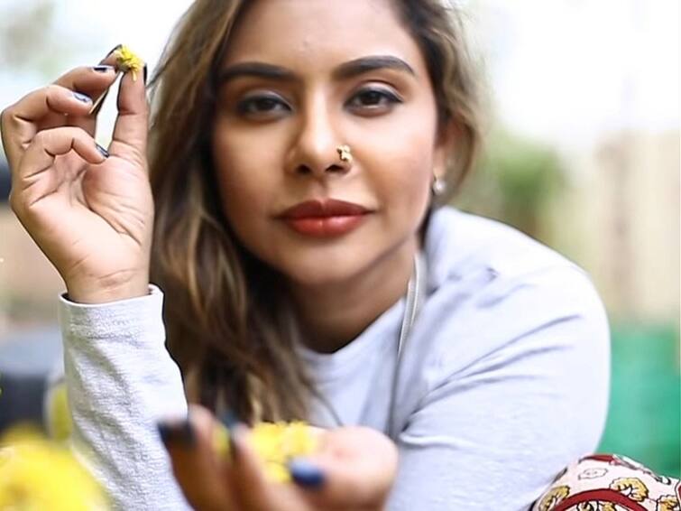 actress sri reddy shared about her worst experience in cinema industry sri reddy : 