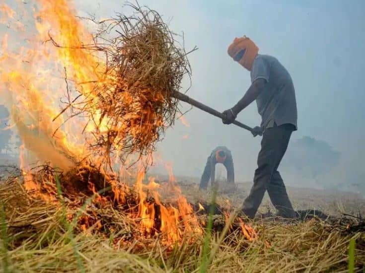 central government asked punjab government prepare comprehensive action plan for stubble burning ਪਰਾਲੀ ਸਾੜਨ ਤੋਂ ਰੋਕਣ ਲਈ ਪੰਜਾਬ ਸਰਕਾਰ ਤਿਆਰ ਕਰੇ ਰਣਨੀਤੀ-ਕੇਂਦਰ
