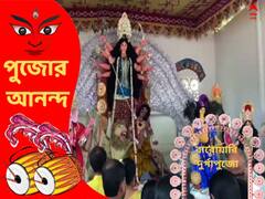 Durga Puja: প্রতিমার বাহন এখানে বাঘ, ৫১৩ বছরে পা দিল জলপাইগুড়ির বৈকুণ্ঠপুর রাজবাড়ির দুর্গাপুজো