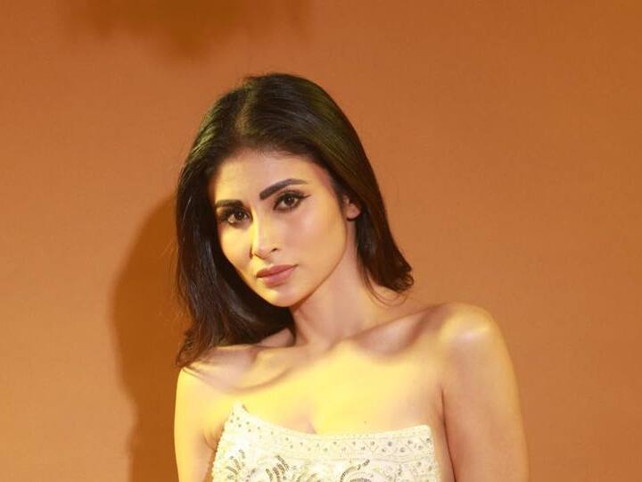 मौनीचे चाहते जगभर उपस्थित आहेत, जे कधी तिच्या स्टाईलने तर कधी तिच्या ड्रेसिंग सेन्सने भुरळ पाडतात.(फोटो सौजन्य :imouniroy/इंस्टाग्राम)