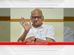 Sharad Pawar : अंधेरी पोटनिवडणुकीसंदर्भात राष्ट्रवादीची भूमिका काय?; शरद पवारांनी स्पष्टपणे सांगितलं...