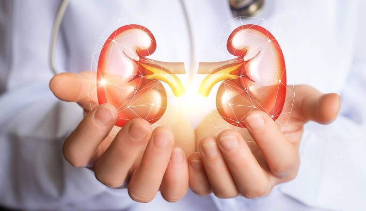 Kidney Damage: These 10 habits of yours can damage your kidneys, be careful Kidney Damage : ਤੁਹਾਡੀਆਂ ਇਹ 10 ਆਦਤਾਂ ਕਾਰਨ ਡੈਮੇਜ ਹੋ ਸਕਦੀ ਐ ਕਿਡਨੀ, ਸਮਾਂ ਰਹਿੰਦੇ ਹੋ ਜਾਓ ਸਾਵਧਾਨ