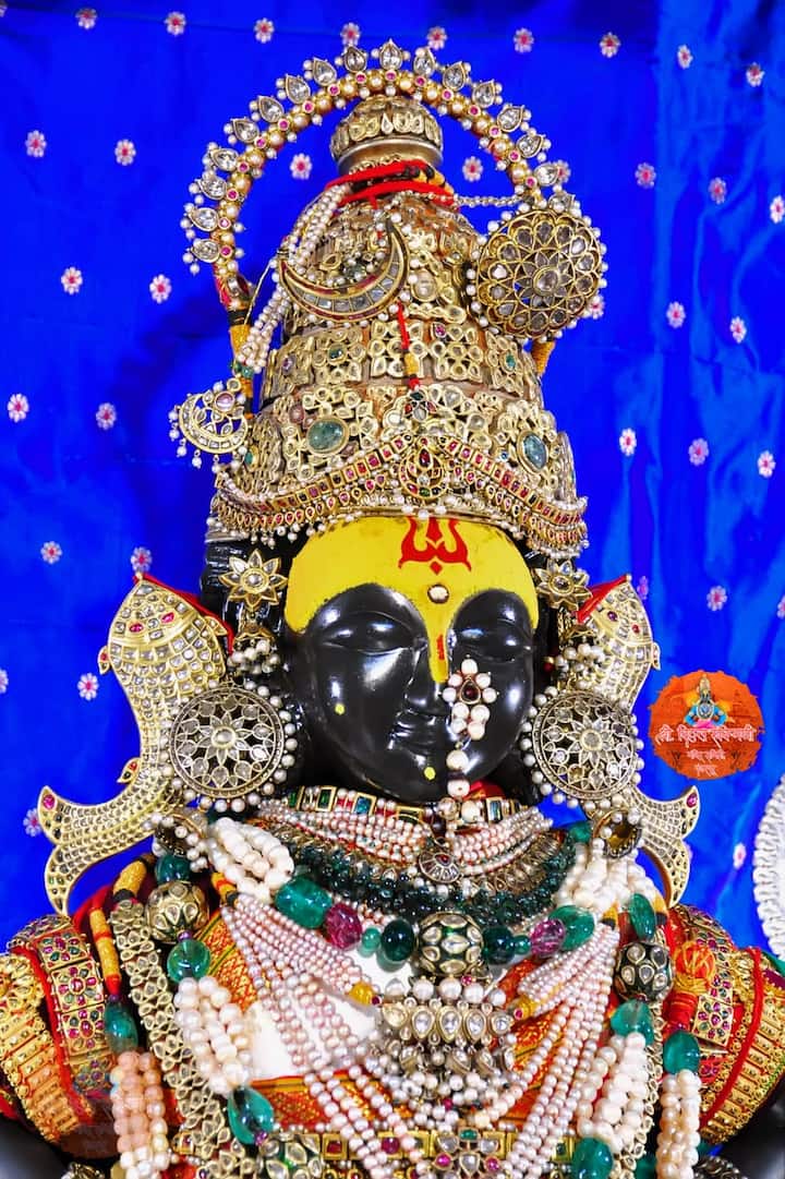 अतिशय मौल्यवान  हिरेजडीत दागिन्याने मातेला परिधान केल्याने  हे रुप अतिशय लोभस दिसत आहे .