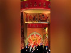 Durga Puja Pandals Capturing Essence Of Festivity — See Pictures