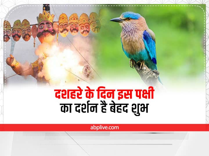 Dussehra 2022 know the importance of sighting neelkanth bird Dussehra