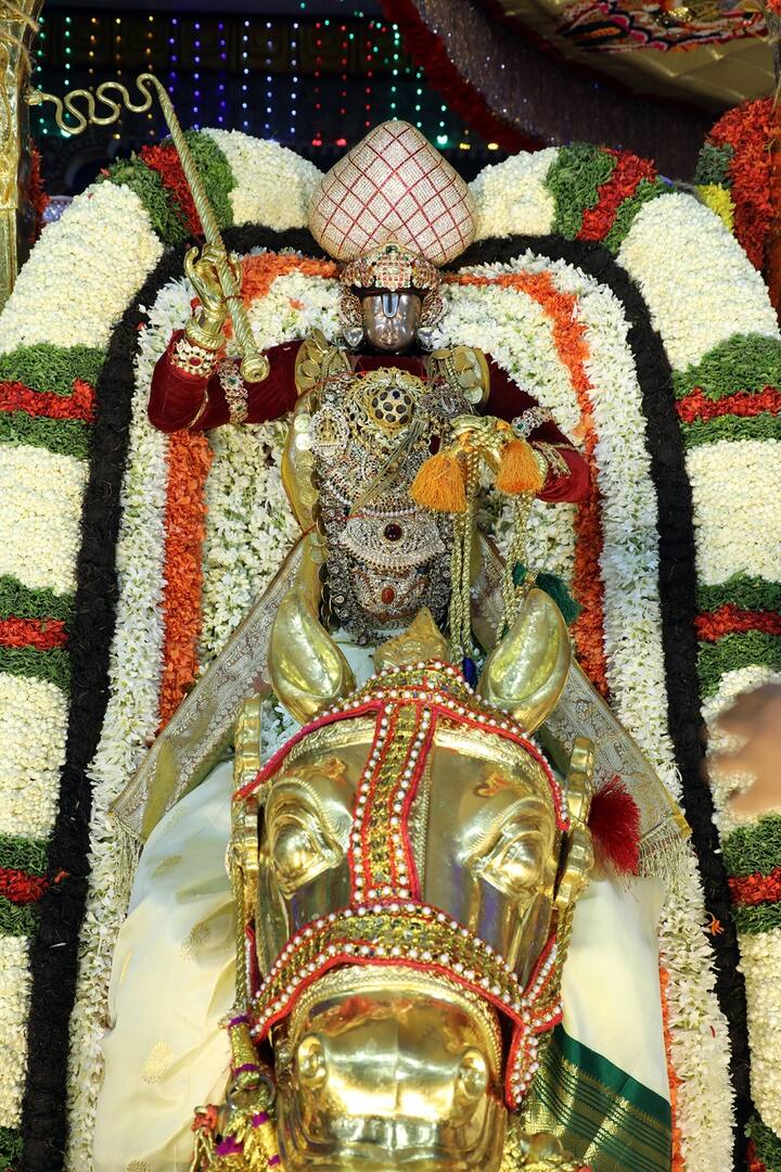 అశ్వ వాహనంను అధిరోహించిన మలయప్ప స్వామి వారికి తిరుమాఢ వీధిలో భక్తులు కర్పూర హారతులు పలికారు.