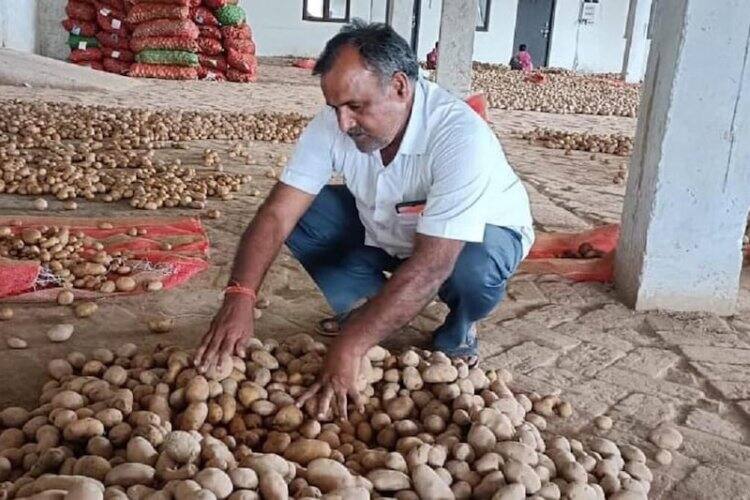 Success Story: After leaving advocacy, started potato farming, got rich, got award from PM Modi Success Story: ਵਕਾਲਤ ਛੱਡ ਕੇ ਸ਼ੁਰੂ ਕੀਤੀ ਆਲੂ ਦੀ ਖੇਤੀ, ਹੋਏ ਮਾਲਾਮਾਲ, PM ਮੋਦੀ ਤੋਂ ਮਿਲ ਚੁੱਕਾ ਹੈ ਐਵਾਰਡ