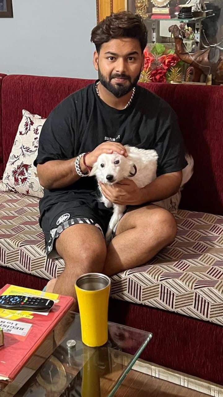 இவருக்கு செல்ல பிராணிகள் என்றால் மிகவும் பிடிக்கும்