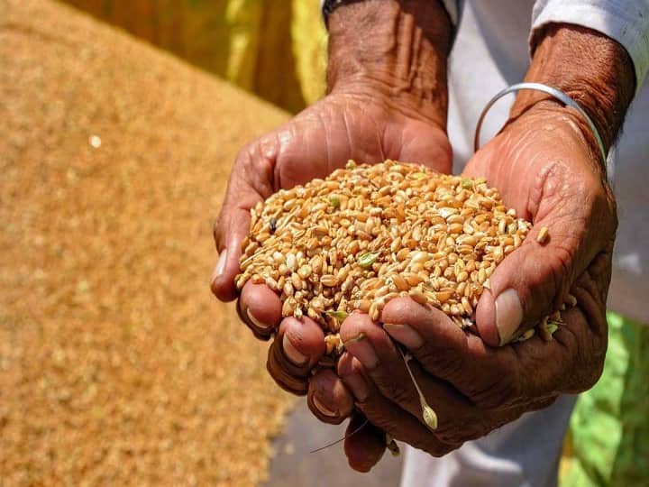 Wheat Prices: Boil in wheat prices! Stock left in government godowns is lowest in 6 years Wheat Prices: ઘઉંના ભાવમાં ઉછાળો! સરકારી ગોડાઉનમાં બચેલો સ્ટોક 6 વર્ષમાં સૌથી ઓછો