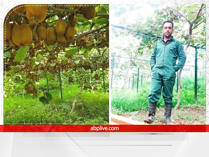 Farmer Success Story: MNC की अच्छी-खासी जॉब छोड़ शुरू की ऑर्गेनिक फार्मिंग, Himalayan सेब-कीवी से कमाये 40 लाख रुपये