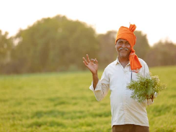 Chana Ki Kheti Gram Cultivation In winter Rabi season Process and earnings Chana Farming: पोषक अनाज वर्ष के दौरान फायदे का सौदा साबित होगी चना की खेती, जानें बुवाई से लेकर कमाई तक की प्रोसेस