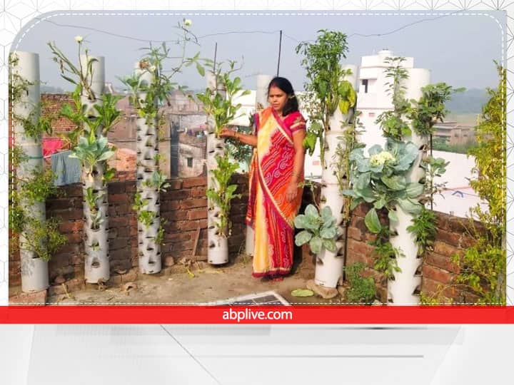 success story of Bihar's Sunita Prasad known for terrace gardening by growing vegetables in PVC pipes Success Story: PVC पाइप में सब्जियां उगाती है ये मोहतर्मा, Innovative टेरिस गार्डनिंग के लिये मिले कई अवॉर्ड