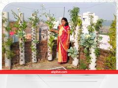 PVC पाइप में सब्जियां उगाती हैं ये मोहतर्मा, Innovative टेरेस गार्डनिंग के लिए मिले कई अवॉर्ड