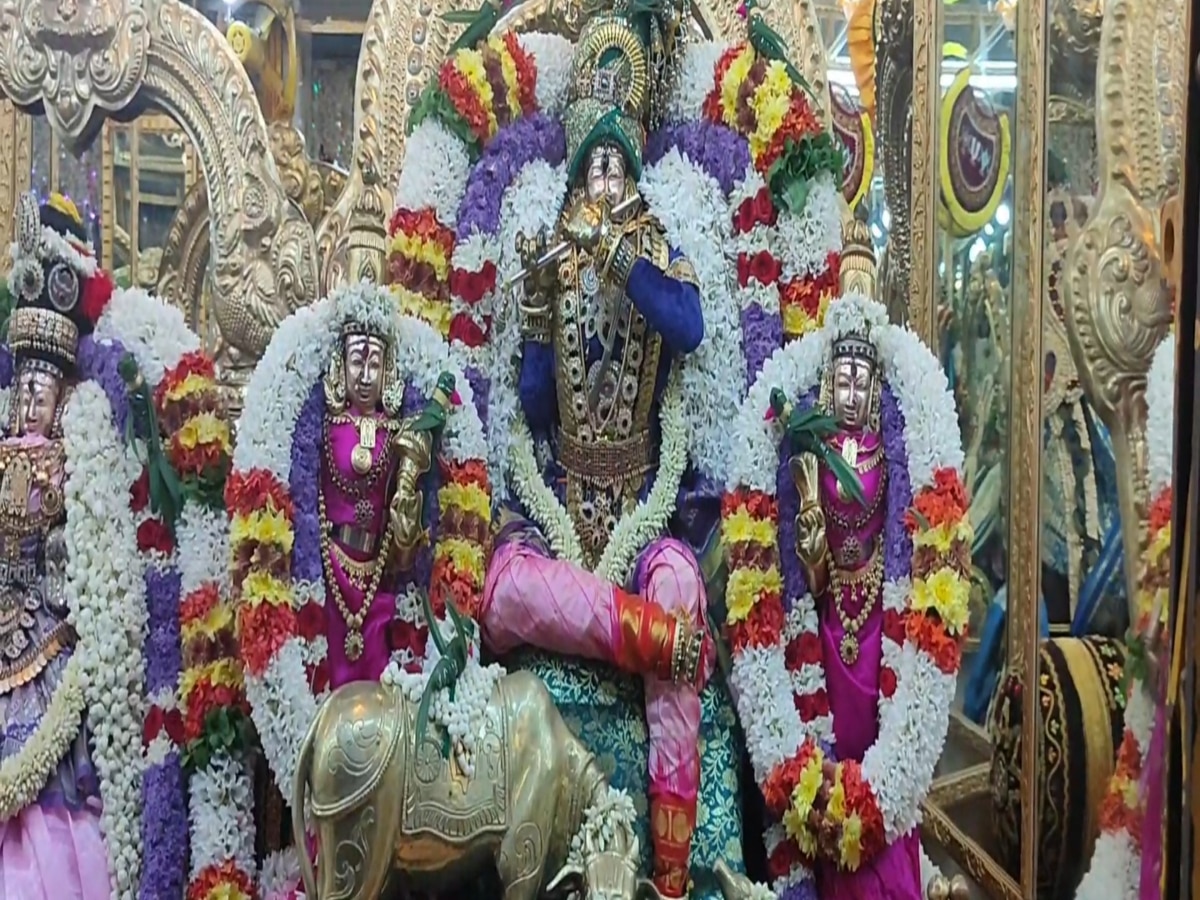 Navratri : அத்திவரதர் கோவிலில் நவராத்திரி உற்சவம்... கோடாலி கொண்டை முடிச்சு அலங்காரத்தில் காட்சி...