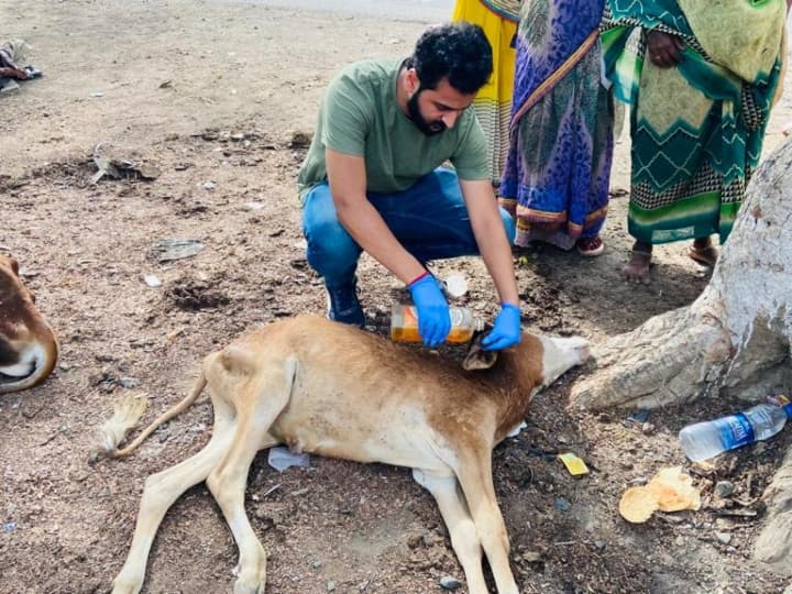 Sagar Youth team saved more than 15 thousand animals in MP ANN Sagar News: सागर में बेजुबानों की सेवा में लगी है युवाओं की टीम, 15 हजार से अधिक जानवरों की जिन्दगी बचाई