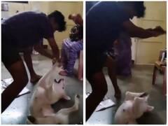 नागिन डांस करते नजर आया डॉगी, यूजर्स ने लिए जमकर मजे