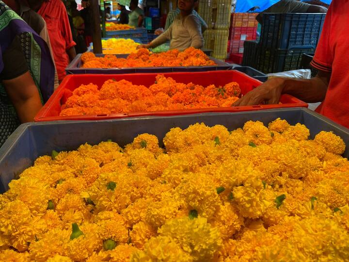 विजयादशमीचा सण साजरा करण्यासाठी झेंडूची फुलं, शमीची आपट्याची पाने, तोरण खरेदी करण्यासाठी मुंबईकरांनी घराबाहेर पाऊल टाकलं आहे.