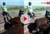 Karma Funny Video: ਗਾਂ ਨੂੰ ਪ੍ਰੇਸ਼ਾਨ ਕਰ ਰਿਹਾ ਸੀ ਇਹ ਸਖਸ਼, ਤੁਰੰਤ ਹੀ ਮਿਲਿਆ ਕਰਮਾਂ ਦਾ ਫਲ