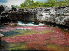 River of Five Colors: ਇਸ ਨਦੀ ਚ ਵਗਦਾ ਹੈ 5 ਰੰਗਾਂ ਦਾ ਪਾਣੀ, ਕੋਈ ਪੇਂਟਿੰਗ ਨਹੀਂ ਅਸਲ ਤਸਵੀਰ ਹੈ