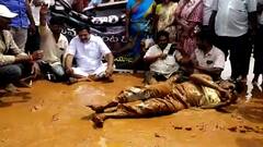 Nellore Roads Protest: బురద రోడ్లపై బైఠాయించి నిరసన తెలిపిన టీడీపీ నాయకులు