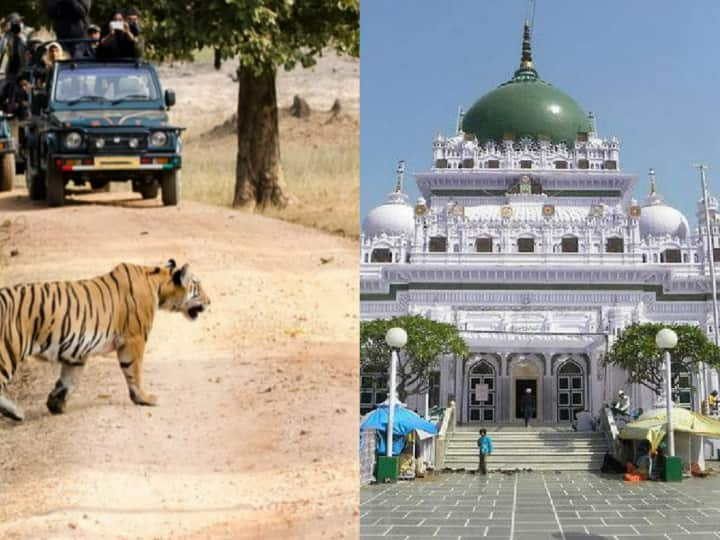 Tourist Places News Lucknow: अगर आप लखनऊ के पास रहते हैं और वीकेंड पर घूमने की प्लानिंग कर रहे हैं तो प्रयागराज, अयोध्या, दुधवा नेशनल पार्क बेस्ट ऑप्शन हैं.