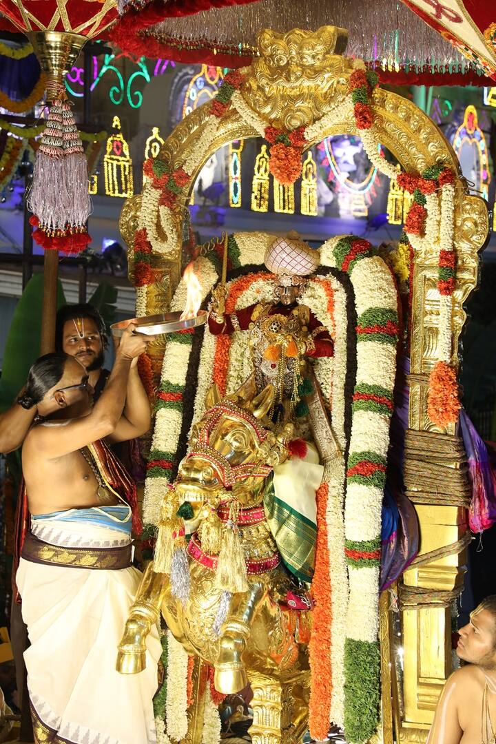ఈ బ్రహ్మోత్సవాల్లో భాగంగా ఎనిమిదో రోజు రాత్రి 7 గంటలకు శ్రీ మలయప్ప స్వామి వారు అశ్వ వాహనంపై భక్తులకు దర్శన మిచ్చారు.